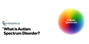 What-is-Autism-Disorder